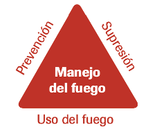 fgfg fg